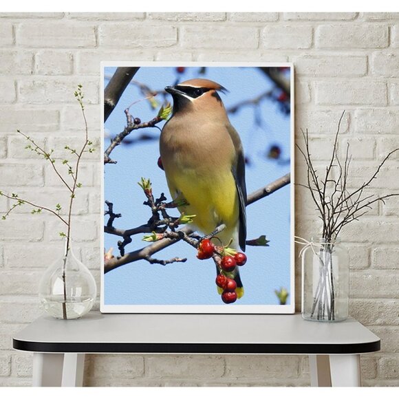 8x10 Cedar Waxwing Bird Photography Print Nature Photography - Picture 3 of 3